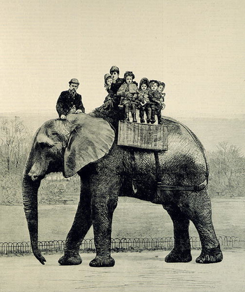 Detail of A Farewell Ride on Jumbo by English School