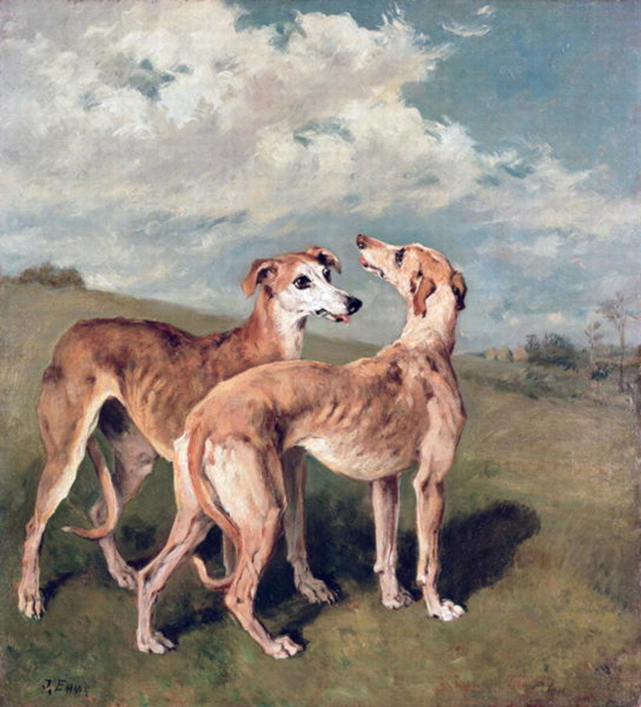 Detail of Greyhounds by John Emms