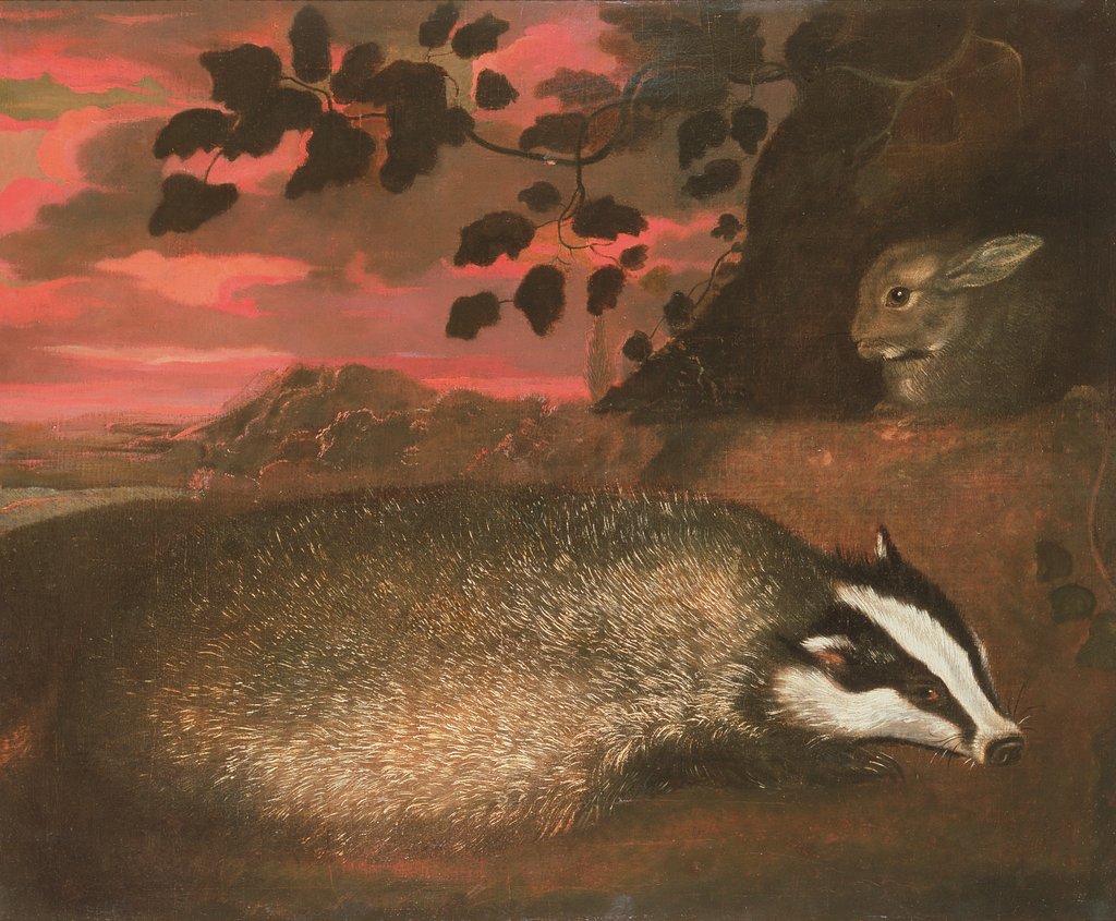 Detail of Badger, 17th century by Francis Barlow