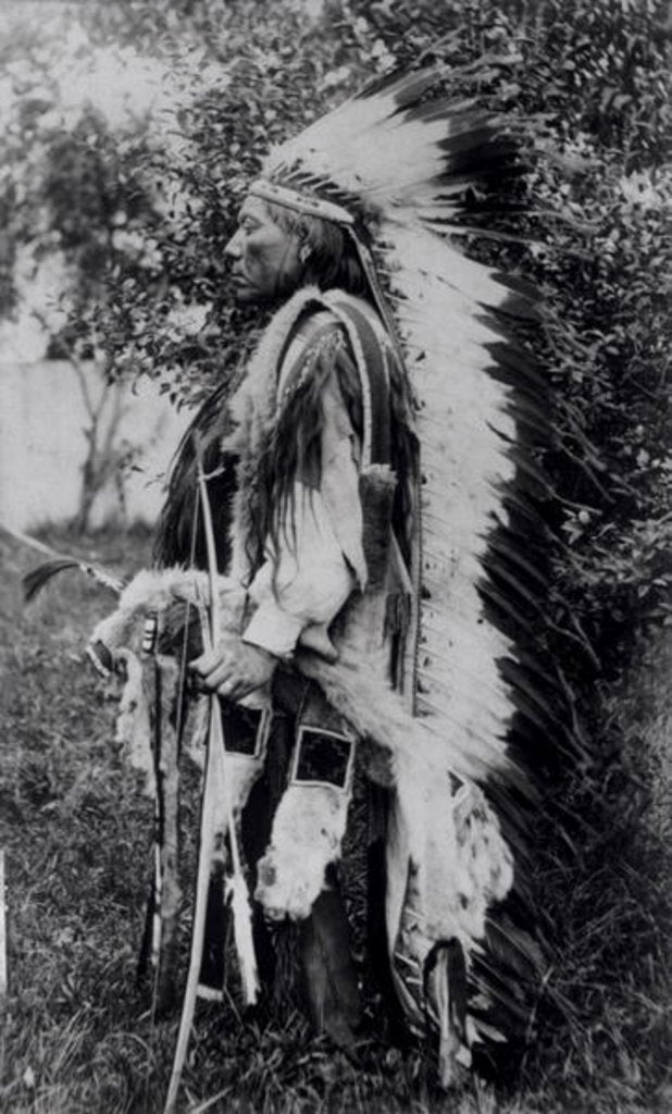 White Wolf, a Comanche Chief, c.1891-98 by American School