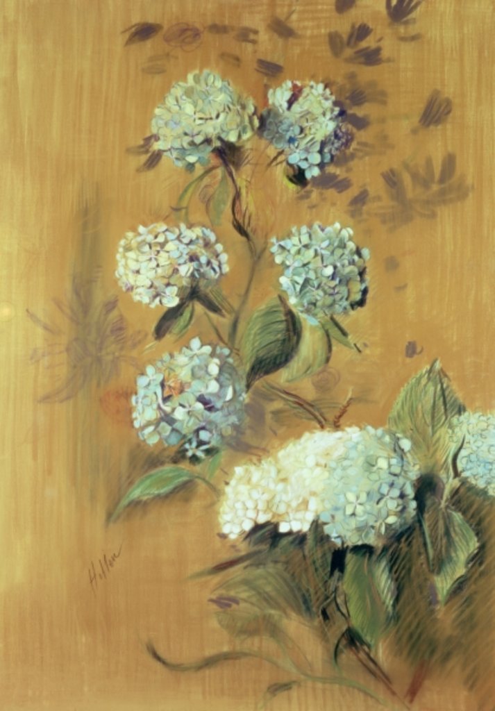 Detail of Hydrangeas by Paul Cesar Helleu