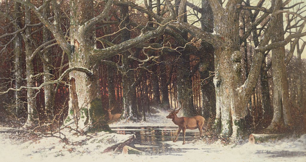 Detail of Deer in the Forest by G. Schneyder