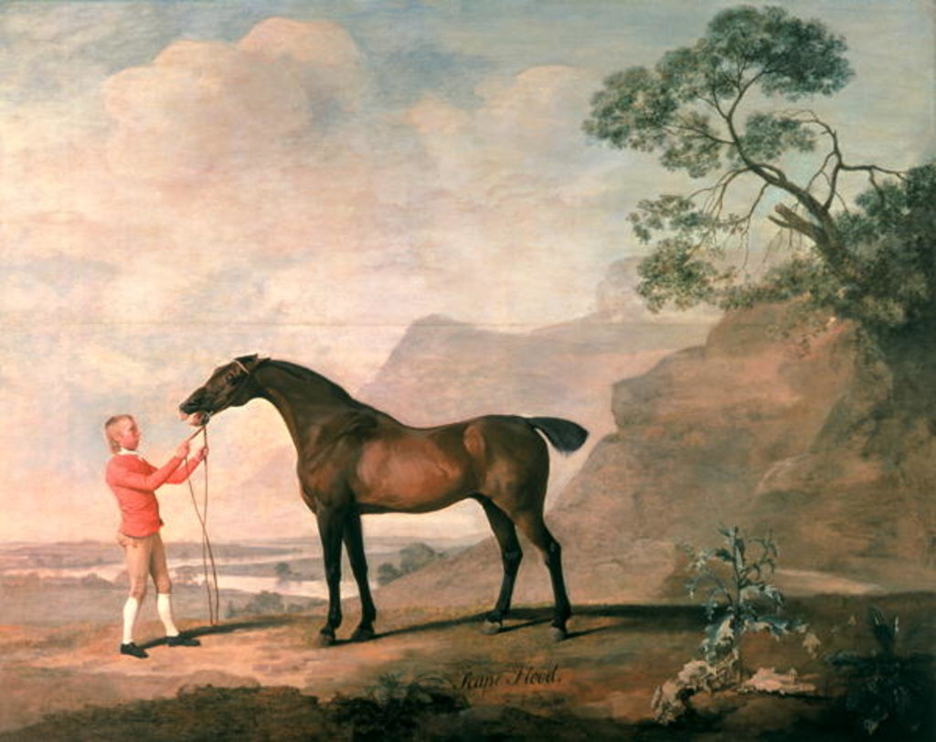 Detail of Scapeflood by George Stubbs