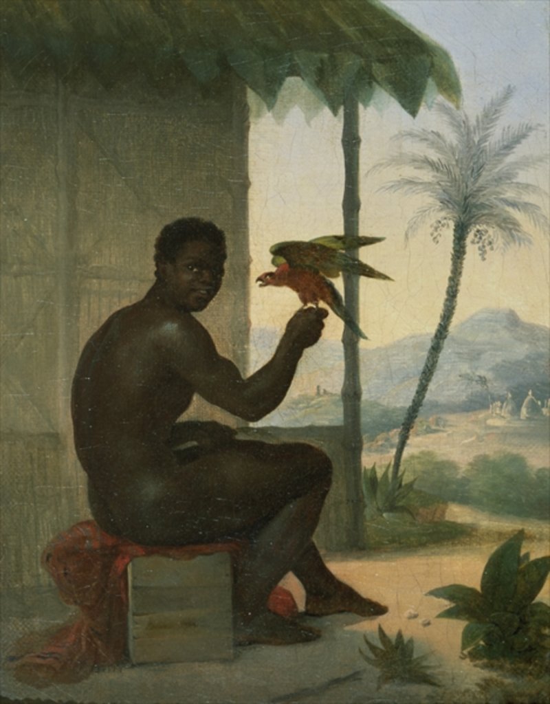 Detail of Brazilian negro with Tropical Bird by Nicolas Antoine Taunay