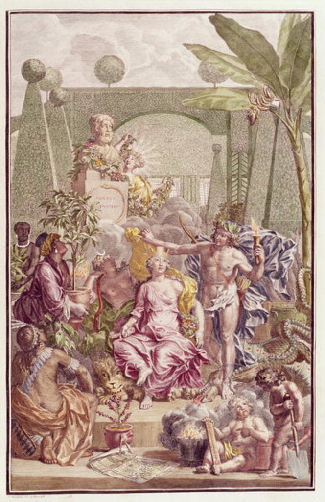 Detail of Frontispiece of 'Hortus Cliffortianus' by Carl Linnaeus by Jan Wandelaar