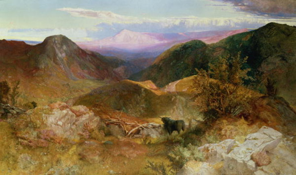 Detail of Glen Ogle, Scotland, 1860 by John Samuel Raven