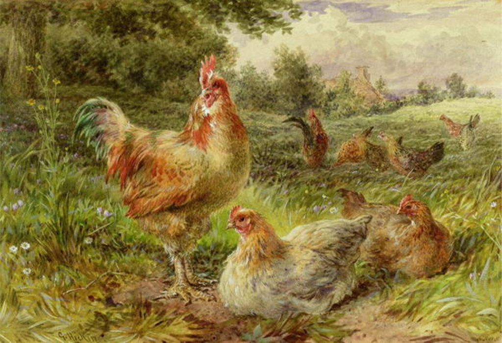 Detail of Cochin China Fowls, 19th century by George Hickin