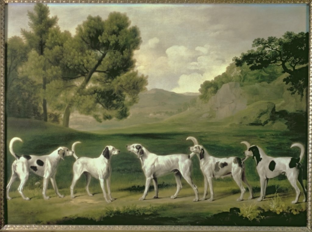 Detail of Foxhounds in a landscape, 1762 by George Stubbs