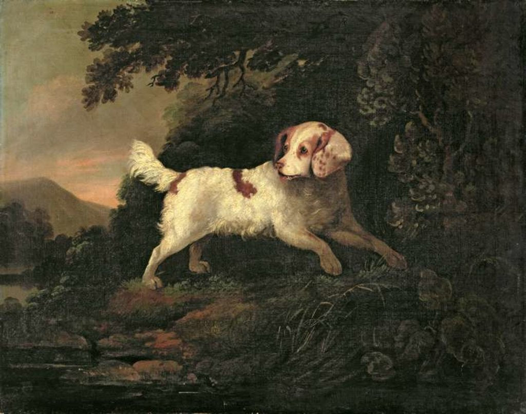 Study of Clumber Spaniel in Wooded River Landscape by Edward Cooper
