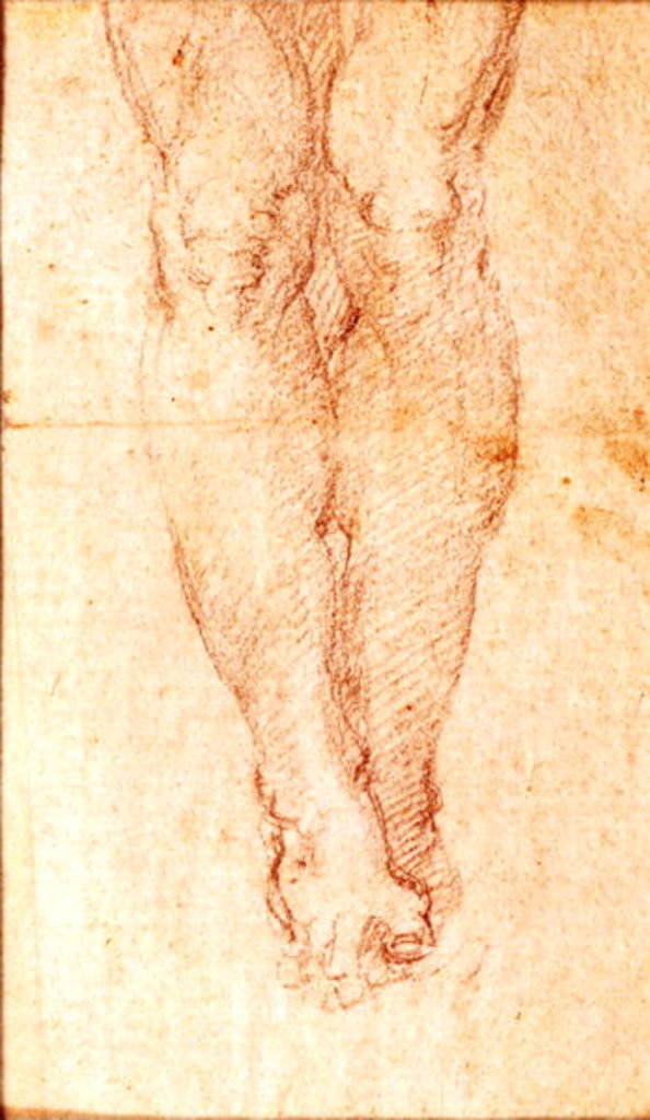 Detail of Study for a Crucifixion by Michelangelo Buonarroti