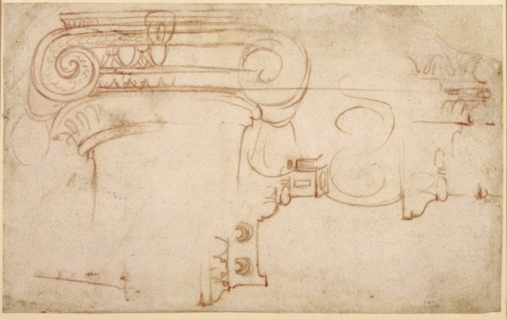 Detail of Study of an Ionic capital by Michelangelo Buonarroti