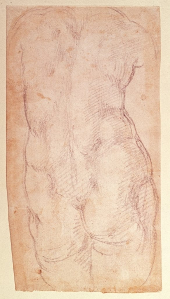 Detail of Study of the back of a nude figure by Michelangelo Buonarroti