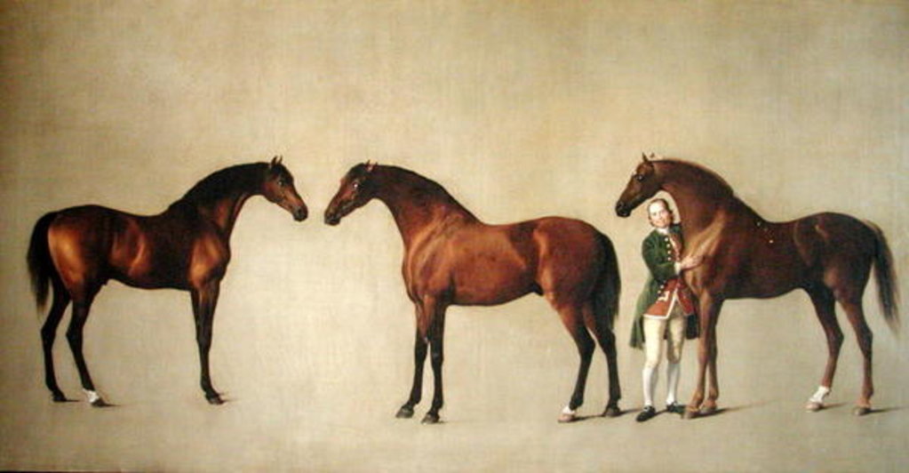 Detail of Whistlejacket and two other Stallions with Simon Cobb, the Groom, 1762 by George Stubbs