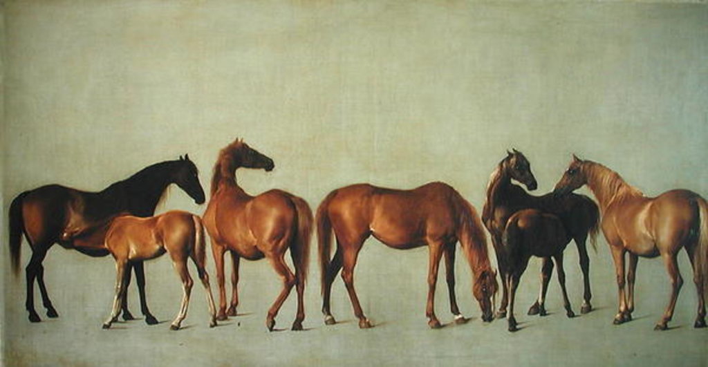 Detail of Mares and Foals without a Background, c.1762 by George Stubbs
