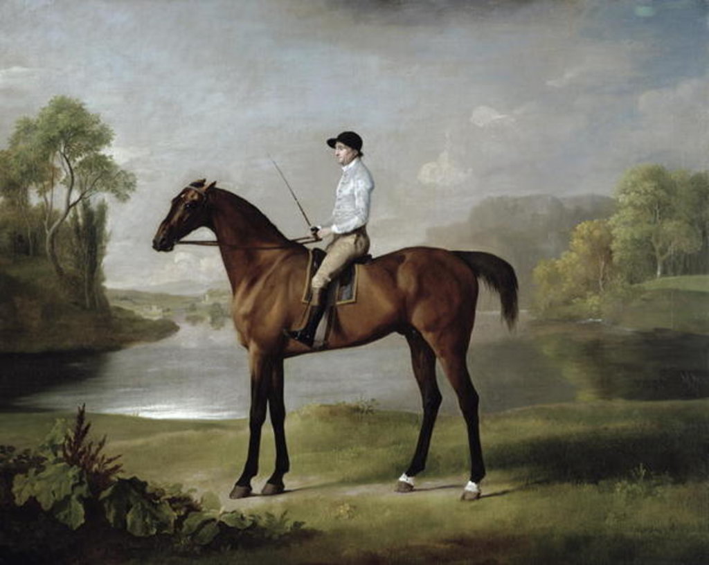Detail of The Marquess of Rockingham's 'Scrub', with John Singleton up, 1762 by George Stubbs