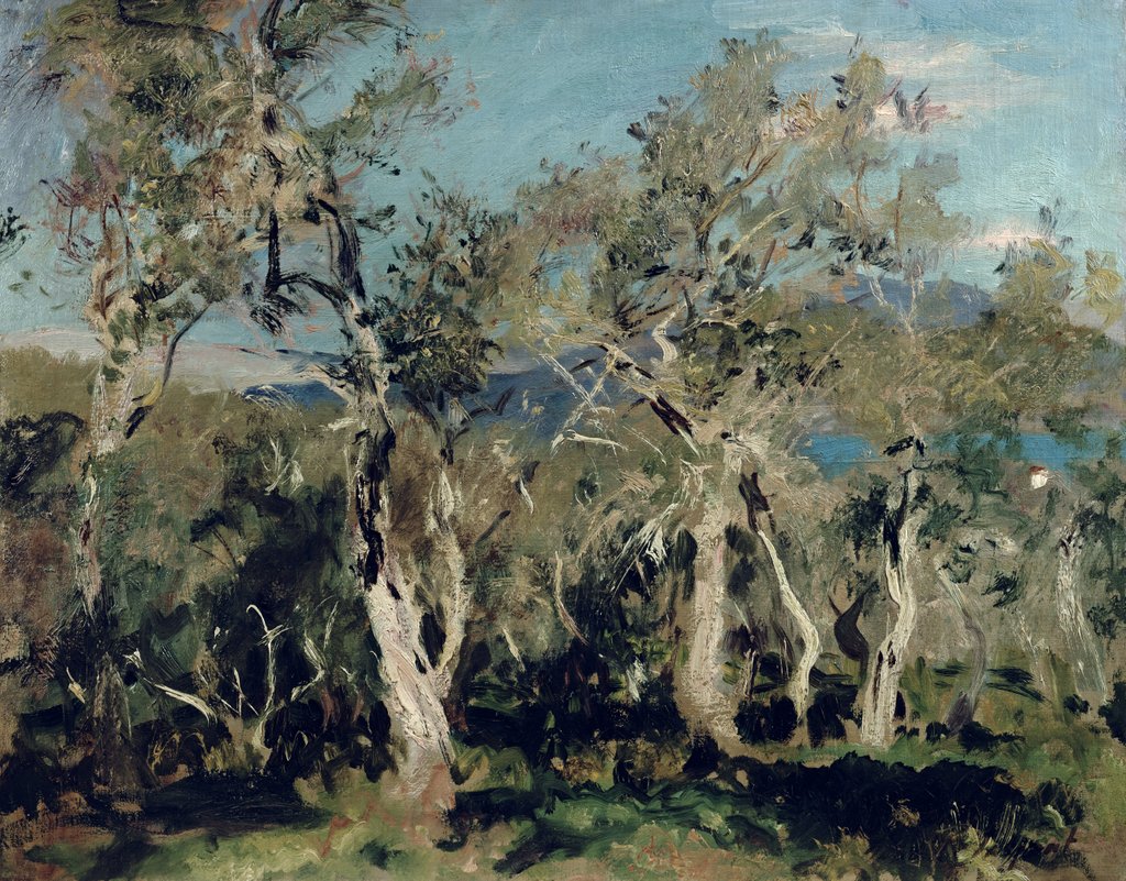 Detail of Olives, Corfu, 1912 by John Singer Sargent