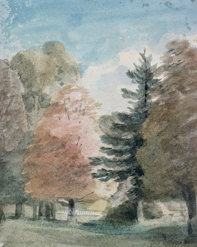 Detail of Study of Trees in a Park by John Constable