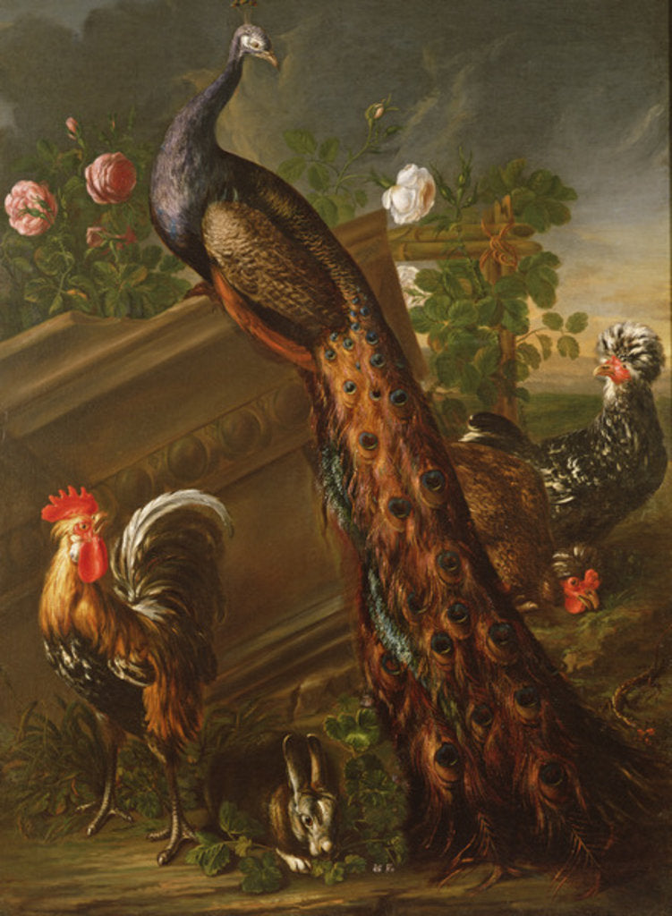 Detail of Peacock and Cockerels, 17th century by David de Koninck