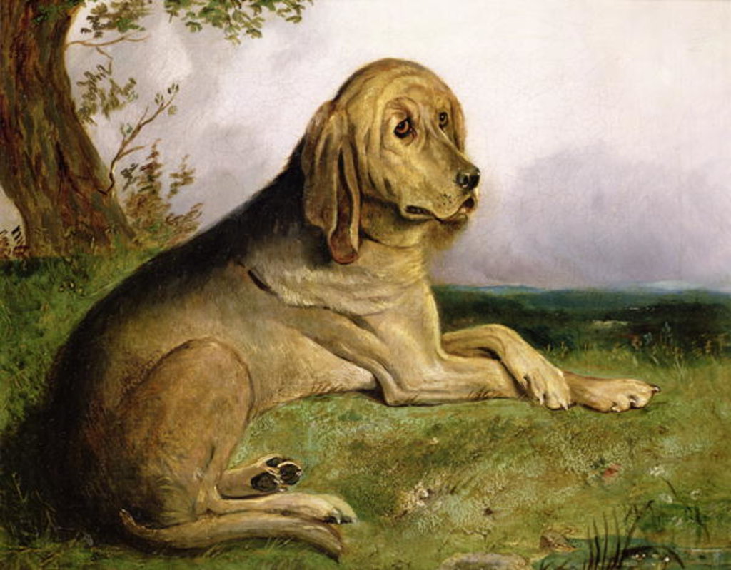 Detail of A Bloodhound in a Landscape by English School