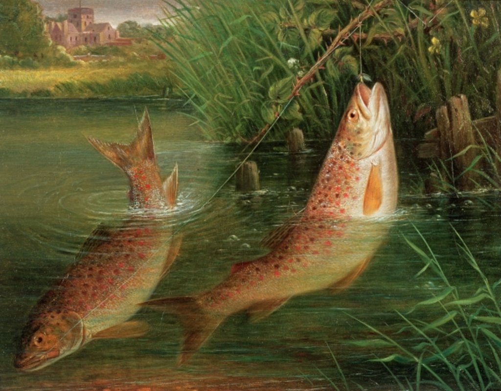 Detail of Trout at Winchester by Valentine Thomas Garland
