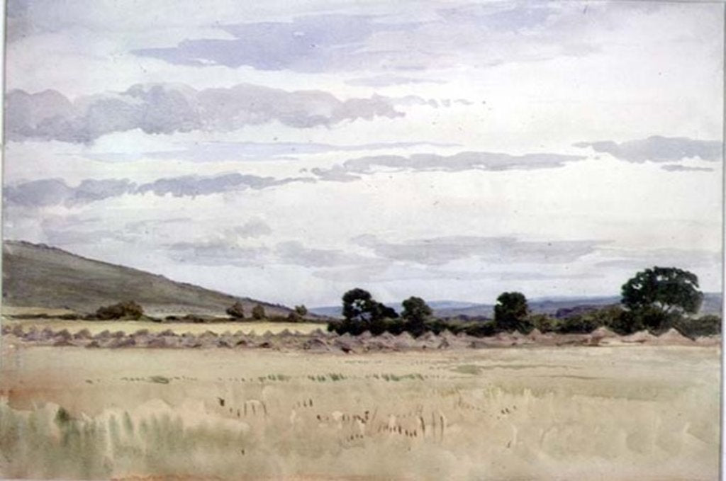 Detail of Landscape with Cornfield by John Absolon