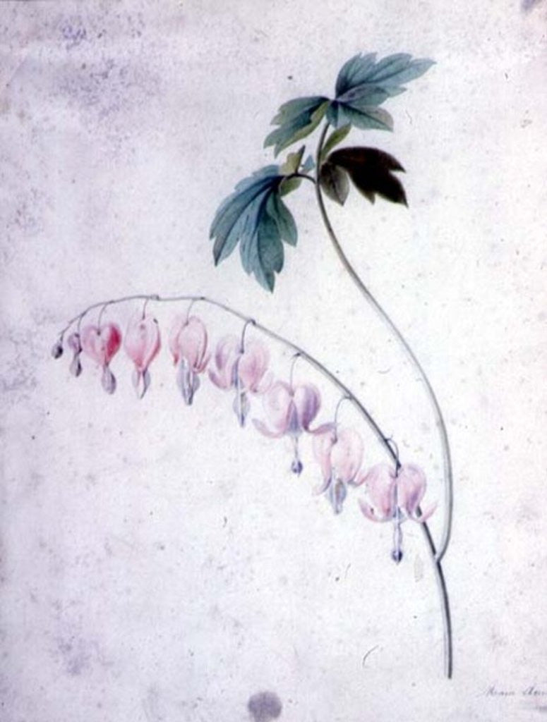 Detail of Flower Pieces by Marie-Anne