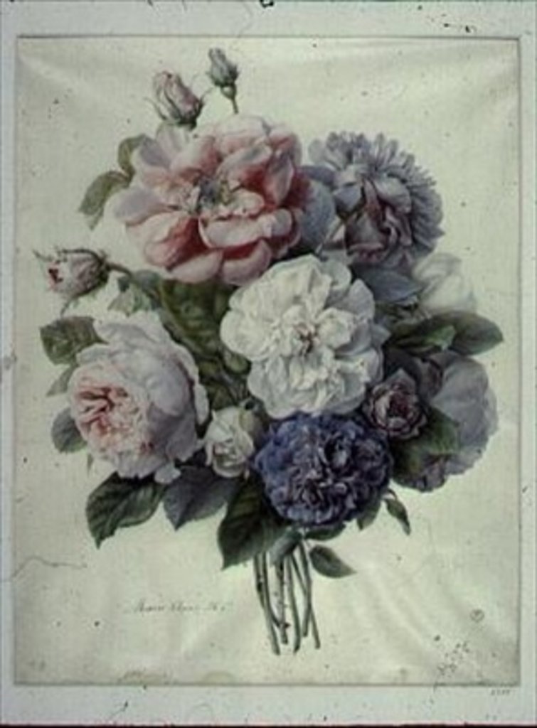 Detail of Flower Pieces by Marie-Anne