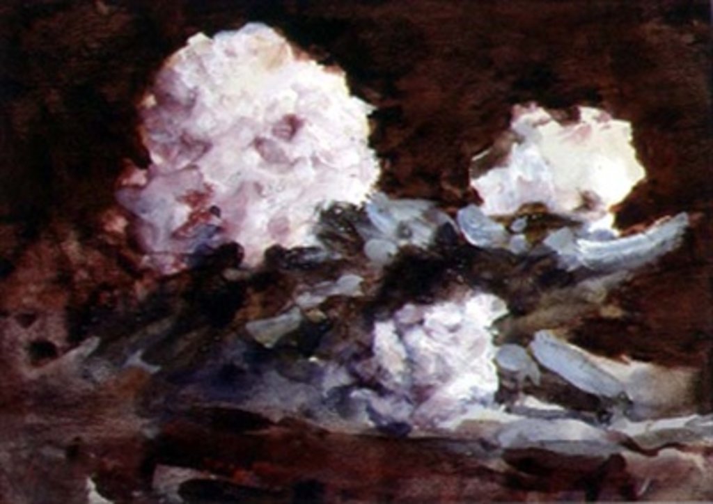 Detail of Rhododendrons by Hercules Brabazon Brabazon