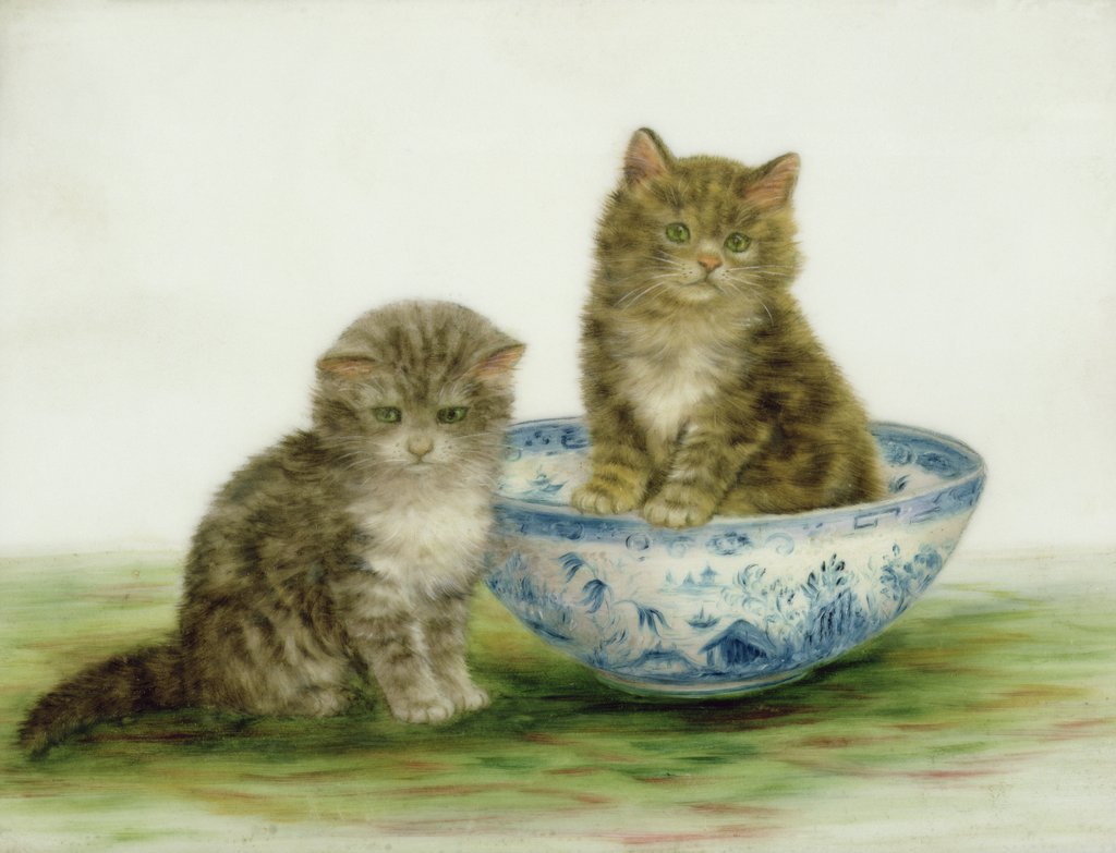 Detail of Kitten in a Blue China Bowl by Bessie Bamber
