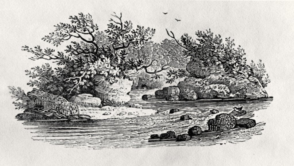 Detail of A bend in the river by Thomas Bewick