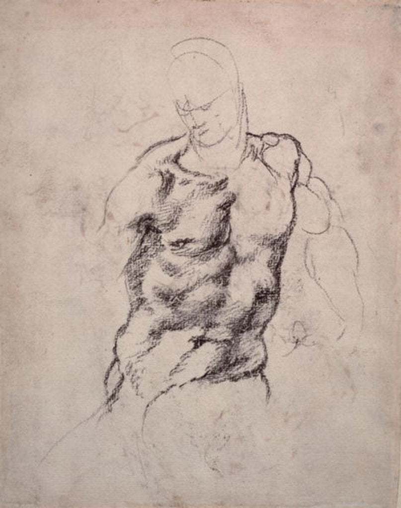 Detail of Figure Study by Michelangelo Buonarroti