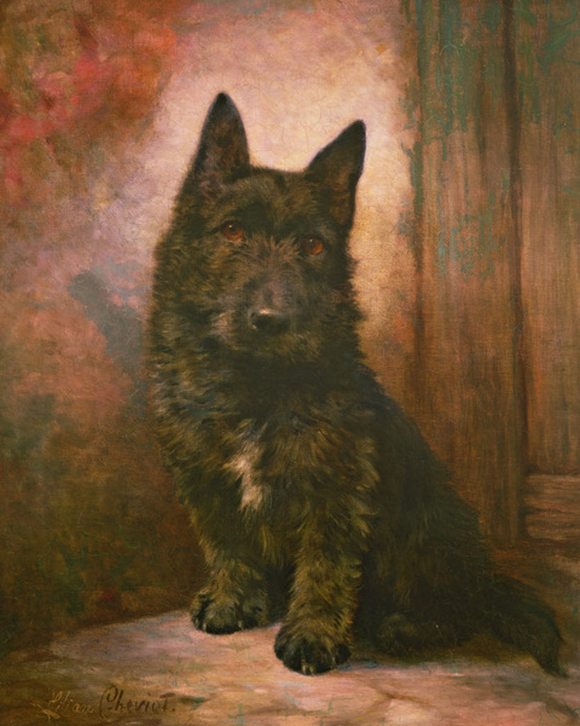 Detail of Scottie Puppy by Lilian Cheviot