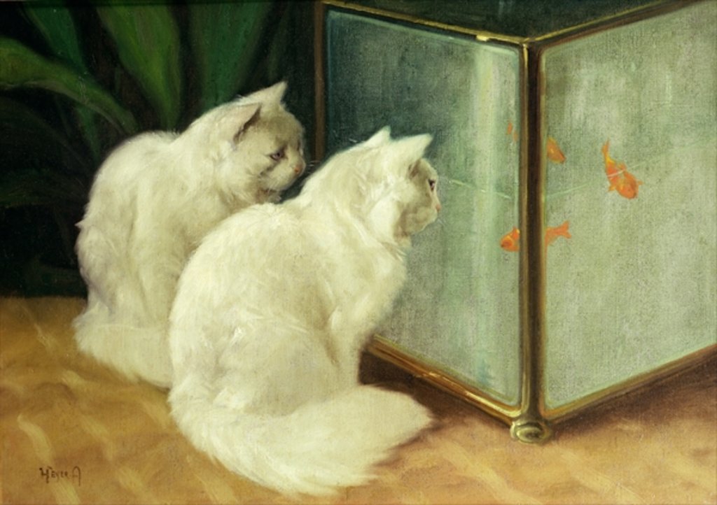 Detail of White Cats Watching Goldfish by Arthur Heyer