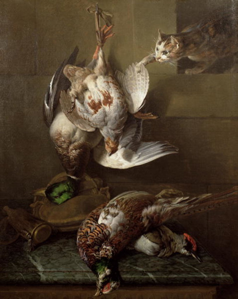 Detail of A Cat Attacking Dead Game by Alexandre-Francois Desportes