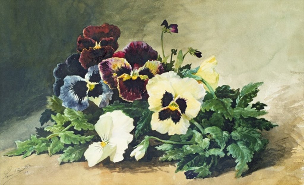 Detail of Winter Pansies, 1884 by Louis Charles Bombled