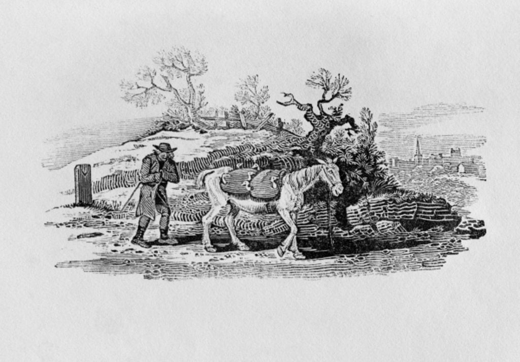 Detail of Geese carried to market from 'History of British Birds and Quadrupeds' by Thomas Bewick