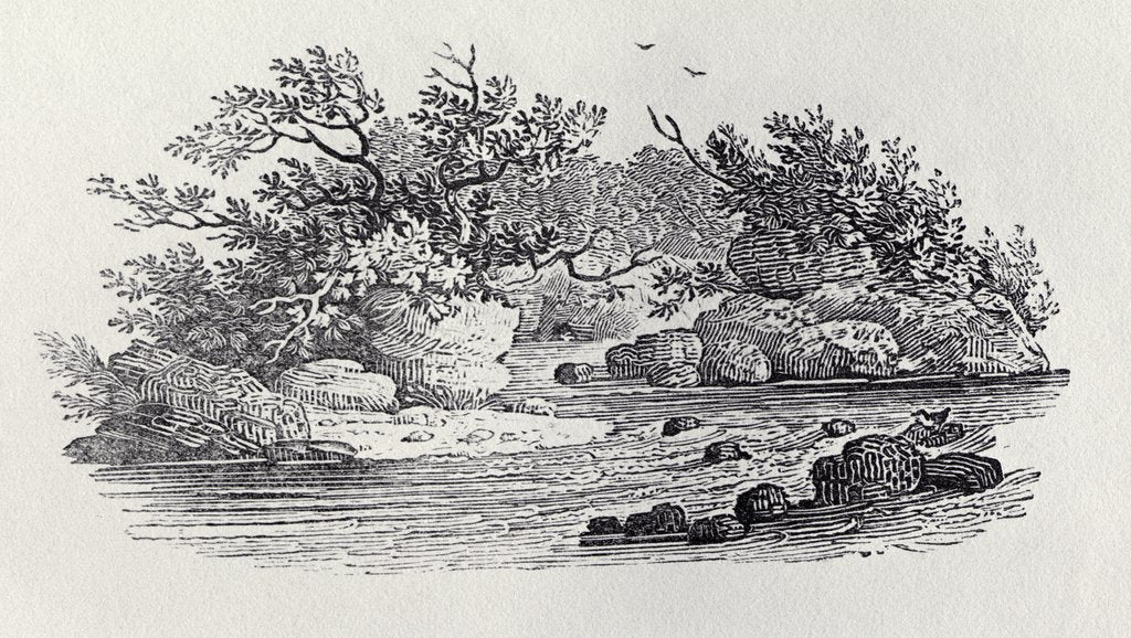 Detail of A Bend in the River from 'History of British Birds, Volume 2: Water Birds', 1804 by Thomas Bewick