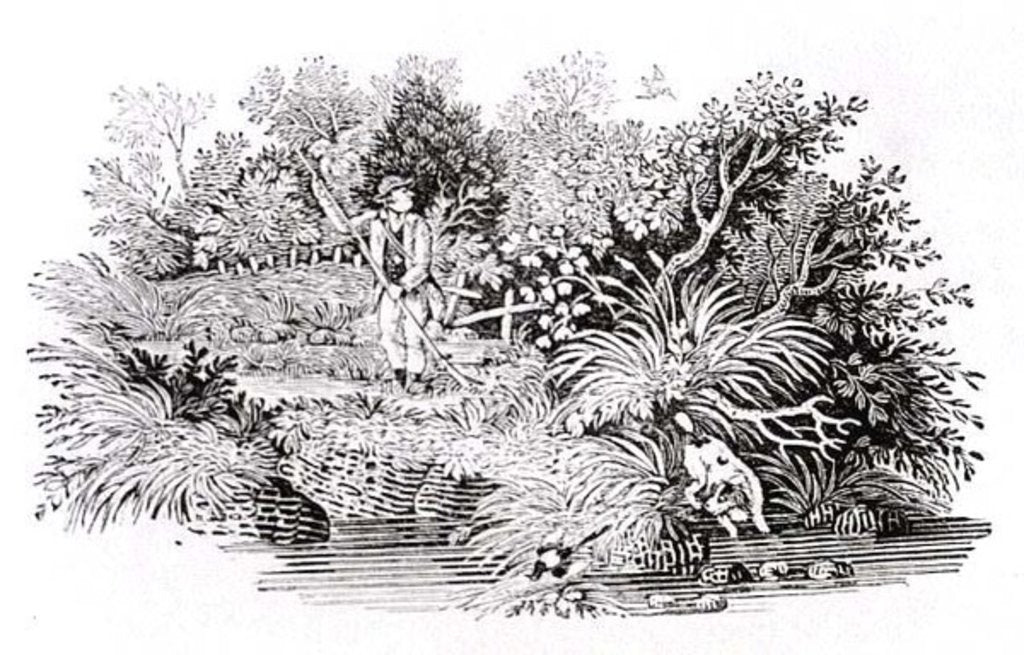 Detail of Looking for the Shot, late 18th or early 19th century by Thomas Bewick