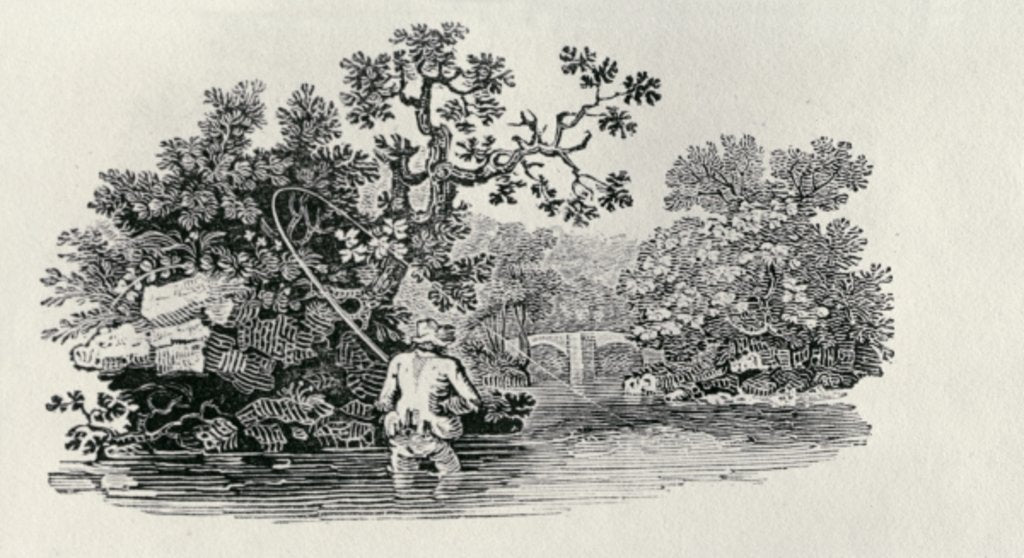 Detail of Playing a Salmon from 'History of British Birds and Quadrupeds' by Thomas Bewick
