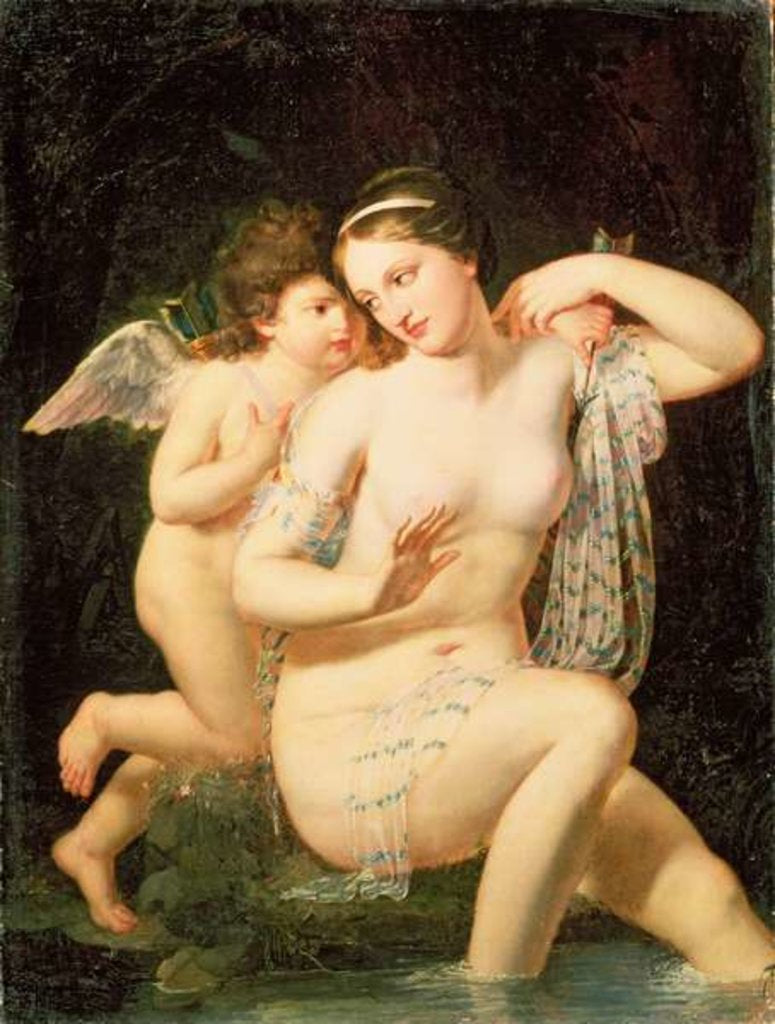 Detail of Venus and Cupid by N. de Courtaille