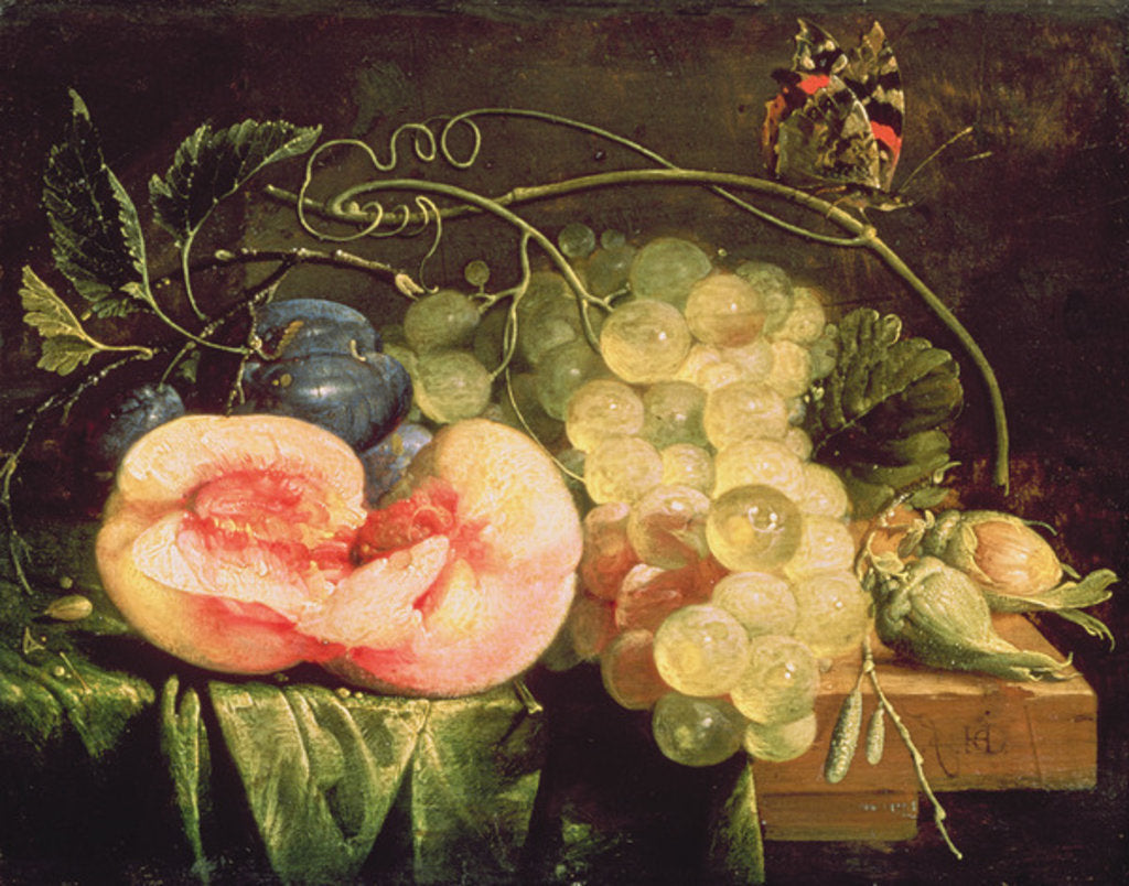Detail of Still Life with Fruit, 17th century by Cornelis de Heem