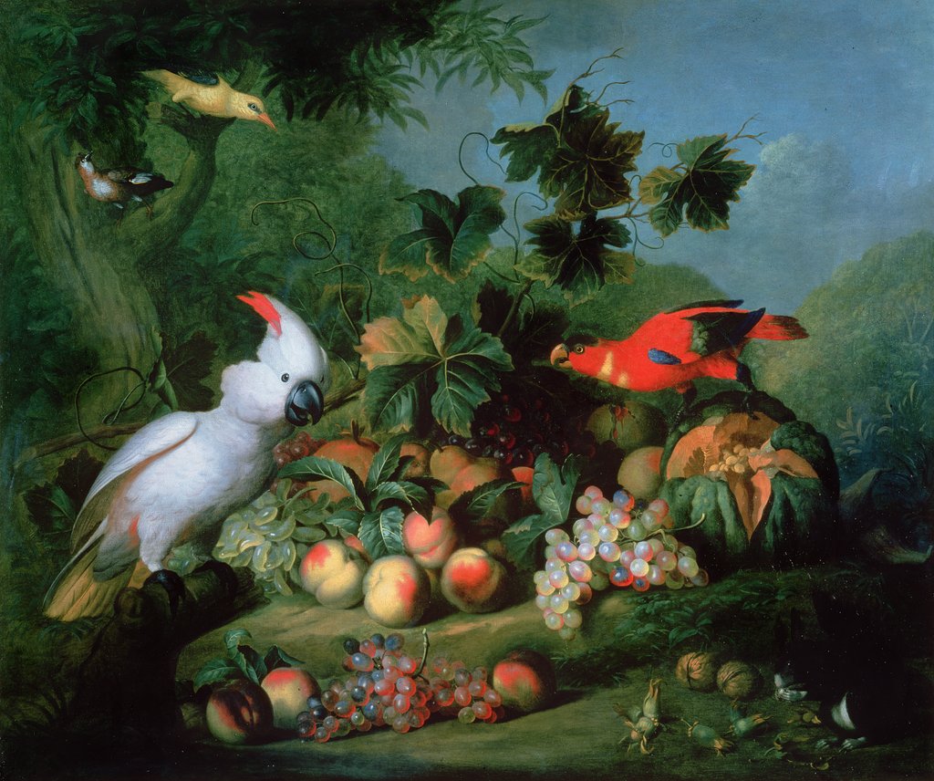 Detail of Fruit and Birds by Jakob Bogdani