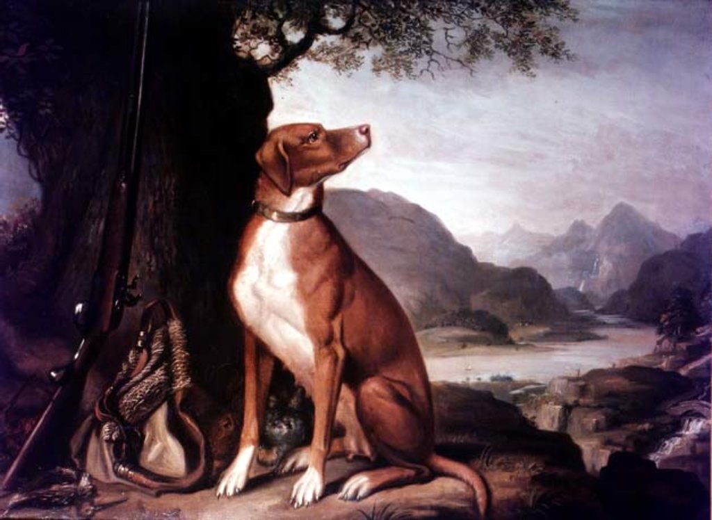 Detail of G. M. Johnston's favourite gun dog in a landscape by J. Francis Sartorius