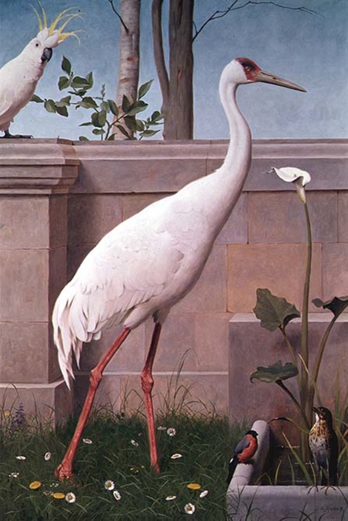 Detail of Indian Crane, Cockatoo, Bullfinch and Thrush by Henry Stacy Marks