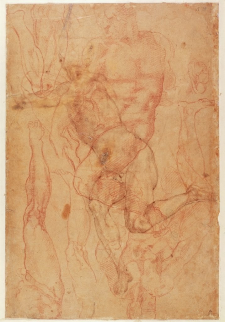 Detail of Figure Study by Michelangelo Buonarroti