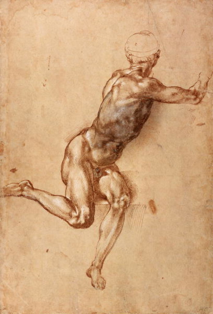 Detail of A seated male nude twisting around, c.1505 by Michelangelo Buonarroti