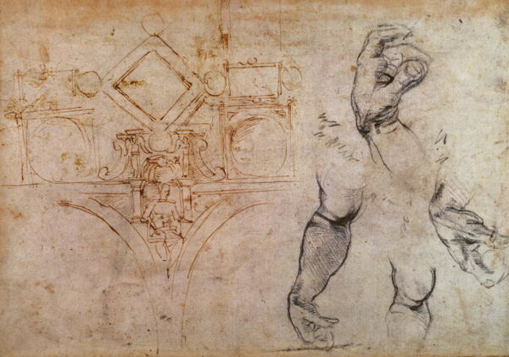 Detail of Scheme for the Sistine Chapel Ceiling, c.1508 by Michelangelo Buonarroti