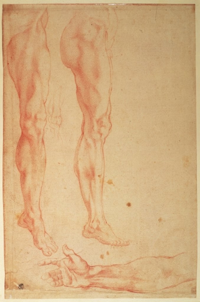 Detail of Studies of Legs and Arms by Michelangelo Buonarroti