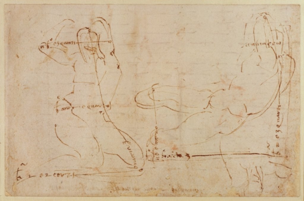 Detail of Study for River God by Michelangelo Buonarroti