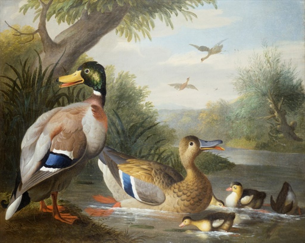Detail of Ducks in a River Landscape by Jakob Bogdani or Bogdany